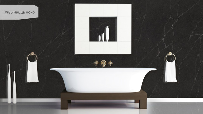 7985 Ницца Ноир