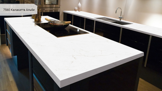 7560 Калакатта Альби