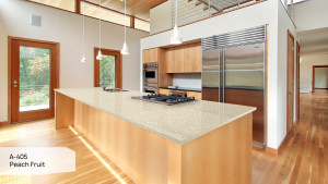 A 405 Peach Fruit A 405 Peach Fruit