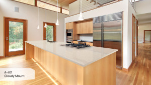 A 401 Cloudy Mount A 401 Cloudy Mount