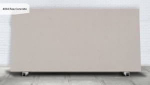 4004 Raw Concrete 4004 Raw Concrete