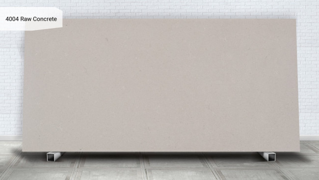 4004 Raw Concrete