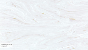 M 717 A Shrimp Crust