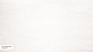 M 707 А Noble Pearl