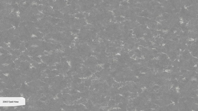 2065 Грей Ним