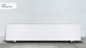 E 609 Business Tokio