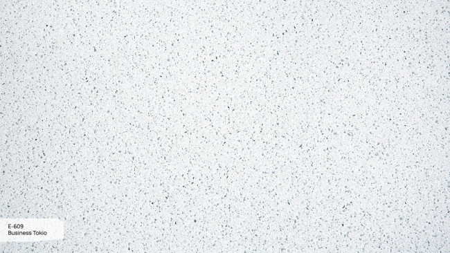 E 609 Business Tokio