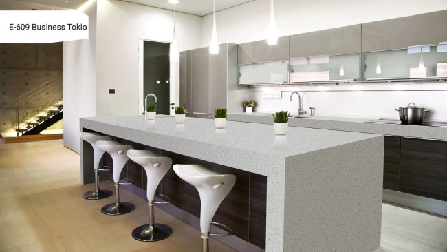 E 609 Business Tokio